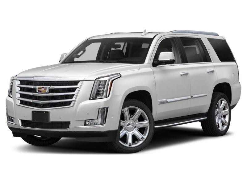 2019 Cadillac Escalade 4WD 4dr Luxury Exterior Shot 1