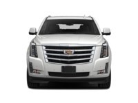 2019 Cadillac Escalade 4WD 4dr Luxury Exterior Shot 5