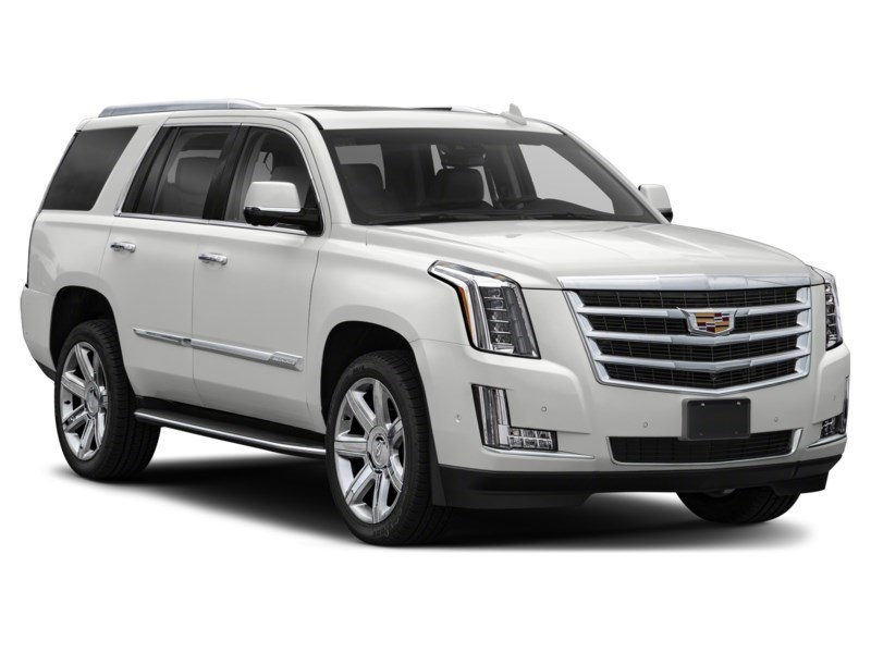 2019 Cadillac Escalade 4WD 4dr Luxury Exterior Shot 8