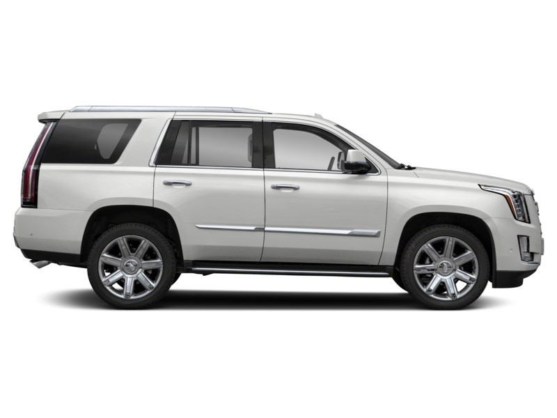 2019 Cadillac Escalade 4WD 4dr Luxury Exterior Shot 10