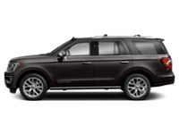 2020 Ford Expedition Platinum 4x4 Exterior Shot 6