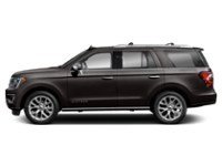 2020 Ford Expedition Platinum 4x4 Exterior Shot 6