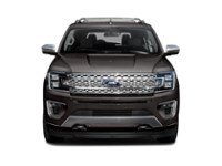 2020 Ford Expedition Platinum 4x4 Exterior Shot 5