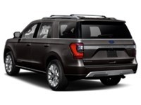 2020 Ford Expedition Platinum 4x4 Exterior Shot 9