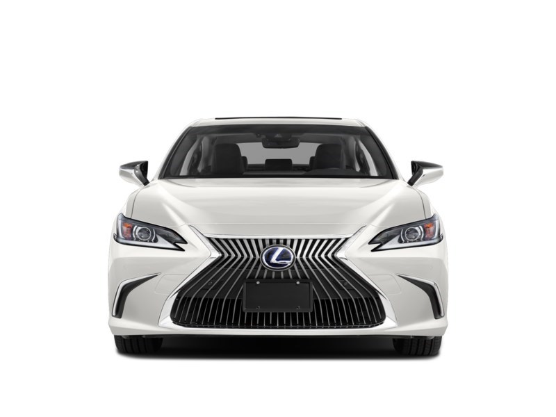 2020 Lexus ES 300h ES 300h Premium Auto Exterior Shot 5