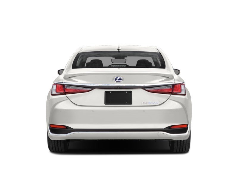 2020 Lexus ES 300h ES 300h Premium Auto Exterior Shot 7