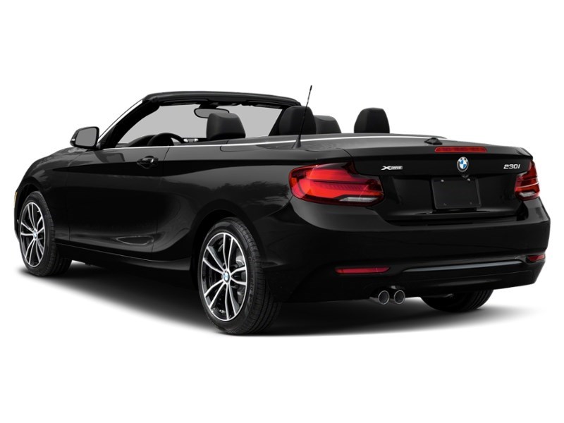 2021 BMW 230 230i xDrive Cabriolet Exterior Shot 9