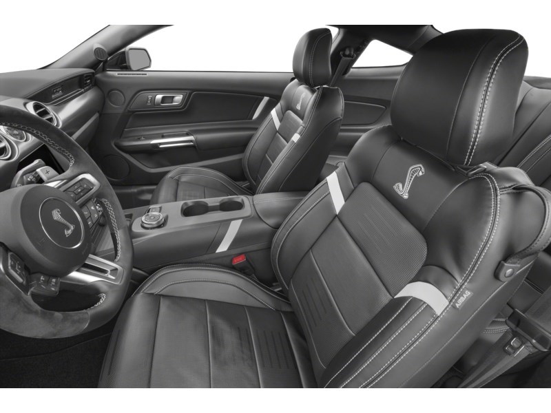 2022 Ford Shelby GT500 Shelby GT500 Fastback Interior Shot 4