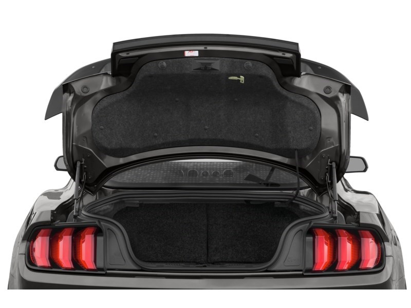 2022 Ford Shelby GT500 Shelby GT500 Fastback Exterior Shot 4