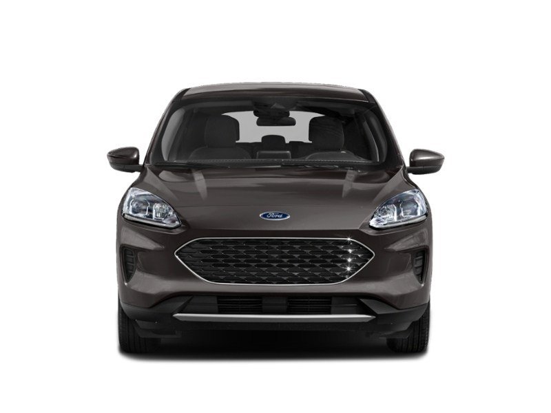 2021 Ford Escape SE Hybrid AWD Exterior Shot 5