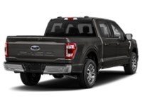 2021 Ford F-150 LARIAT 4WD SuperCrew 5.5' Box Exterior Shot 2