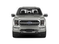 2022 Ford F-150 Platinum 4WD SuperCrew 5.5' Box Exterior Shot 5