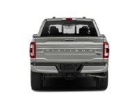2023 Ford F-150 Platinum 4WD SuperCrew 5.5' Box Exterior Shot 7