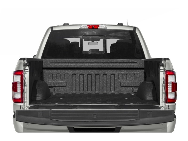 2022 Ford F-150 Platinum 4WD SuperCrew 5.5' Box Exterior Shot 4