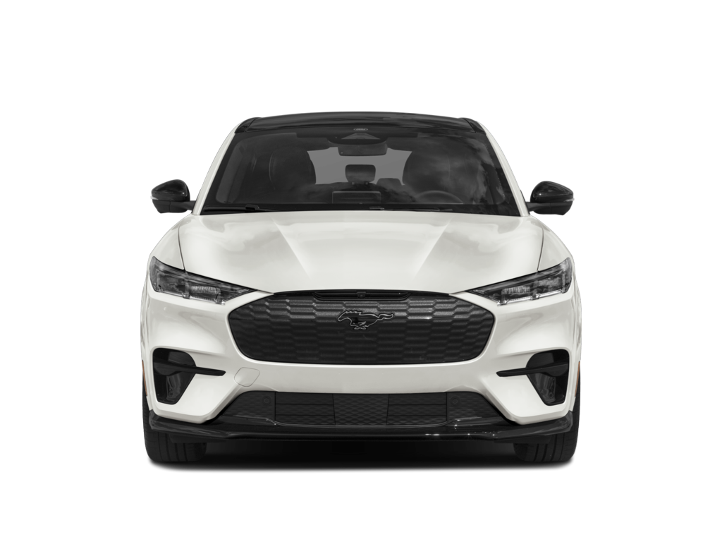 2026 ford mustang mach-e Exterior