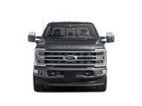 2026 Ford Super Duty F-250 SRW Platinum 4WD Crew Cab 6.75' Box Exterior Shot 5