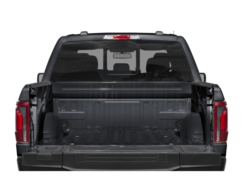 2025 Ford F-150 King Ranch 4WD SuperCrew 5.5' Box Exterior Shot 4