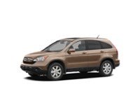 2008 Honda CR-V 4WD 5dr LX Borrego Beige Metallic  Shot 3