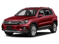 2013 Volkswagen Tiguan 4dr Auto Comfortline 4Motion Wild Cherry Metallic  Shot 10