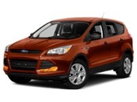 2014 Ford Escape FWD 4dr SE Sunset  Shot 13