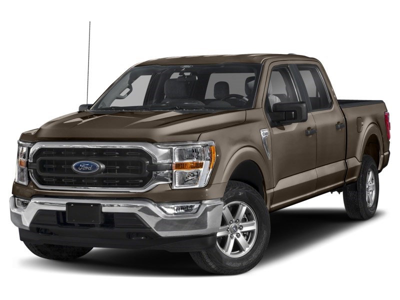 2022 Ford F-150 XLT 4WD SuperCrew 5.5' Box Stone Grey Metallic  Shot 25