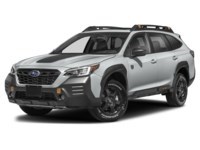 2022 Subaru Outback Wilderness CVT Ice Silver Metallic  Shot 10