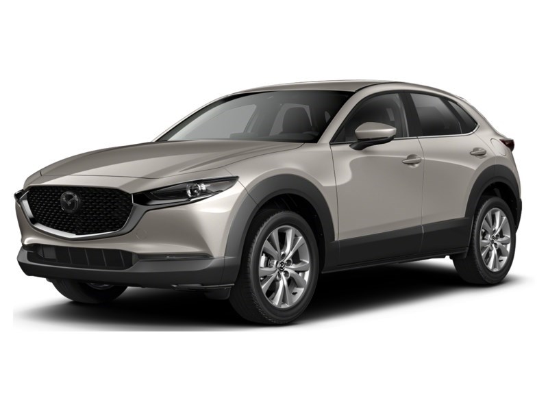 2024 Mazda CX-30 GS Platinum Quartz Metallic  Shot 30