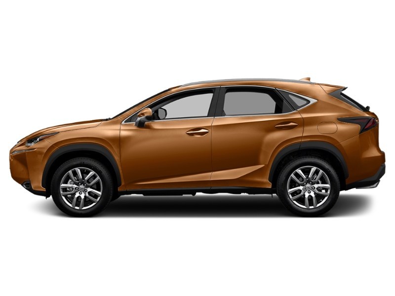 2016 Lexus NX 200t AWD 4dr Autumn Shimmer  Shot 21