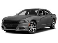 2017 Dodge Charger 4dr Sdn R/T Daytona Edition RWD Destroyer Grey  Shot 4