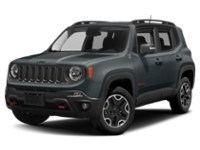 2016 Jeep Renegade 4WD 4dr Trailhawk Anvil  Shot 13