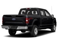 2019 Ford F-150 XLT 4WD SuperCrew 5.5' Box
