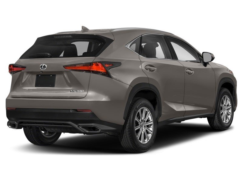 2021 Lexus NX 300 NX 300 AWD Atomic Silver  Shot 19