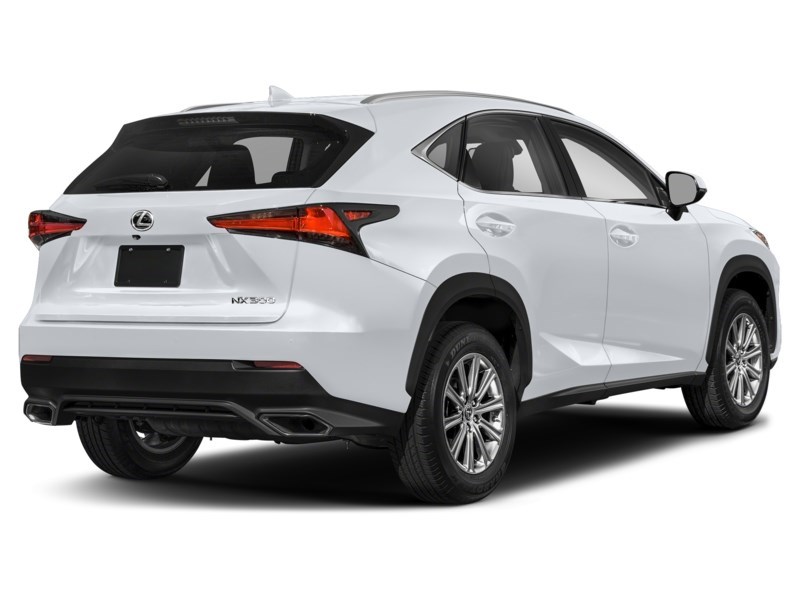 2021 Lexus NX 300 NX 300 AWD Ultra White  Shot 25