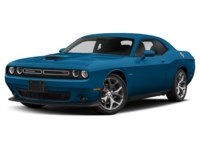 2020 Dodge Challenger R/T RWD Frostbite Pearl  Shot 50