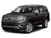 2020 Ford Expedition Platinum 4x4 Magnetic Metallic  Shot 1