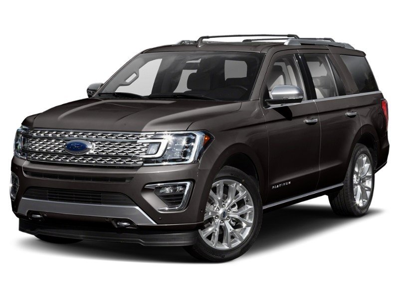 2020 Ford Expedition Platinum 4x4 Magnetic Metallic  Shot 1