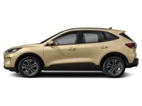 2021 Ford Escape SEL Desert Gold Metallic  Shot 23