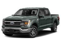 2021 Ford F-150 LARIAT 4WD SuperCrew 5.5' Box Guard Metallic  Shot 27