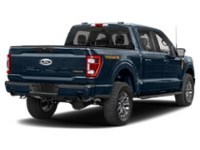 2022 Ford F-150 Tremor | 4X4 | 3.5L | ROOF | PWR TLGT | LEATHER Antimatter Blue Metallic  Shot 6