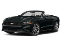 2022 Ford Mustang EcoBoost Convertible Shadow Black  Shot 31