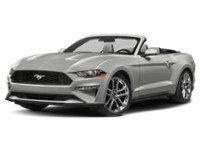 2022 Ford Mustang EcoBoost Convertible Iconic Silver Metallic  Shot 38