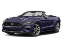 2022 Ford Mustang EcoBoost Convertible Mischievous Purple Metallic  Shot 48