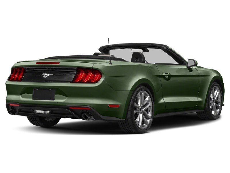 2022 Ford Mustang EcoBoost Convertible Eruption Green Metallic  Shot 26
