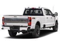 2024 Ford Super Duty F-350 DRW Platinum 4WD Crew Cab 8' Box Star White Metallic Tri-Coat  Shot 2