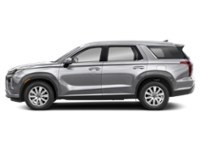 2023 Hyundai Palisade Preferred 8-Passenger AWD Typhoon Silver  Shot 3