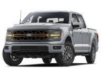 2025 Ford F-150 Tremor 4WD SuperCrew 5.5' Box Iconic Silver Metallic  Shot 3