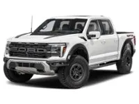 2024 Ford F-150 Raptor 4WD SuperCrew 5.5' Box Colour Shot 1