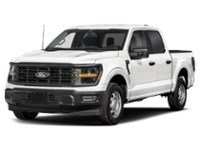 2026 Ford F-150 XL 4WD SuperCrew 5.5' Box Colour Shot 1